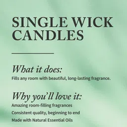 Bath & Body Works Sugared Lemon Zest Single Wick Scented Candle image 3