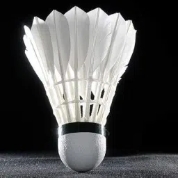 DRAUSS Elevate Your Performance with Black Bird Tournament Grade Feather Shuttlecock - Pack of 10 image 2