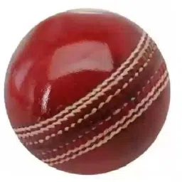 PRO (Pack of 2Pcs) Red and White Cricket Leather Ball Combo (Pack of 2, White, Red) image 2