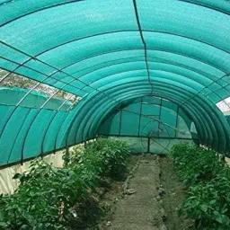 omuda UV Stabilized Agro Green House Net Garden Shade Net - 50%,2mx5m (6.5ft x 16ft) net Balcony Agriculture shadnet Netting House Multipurpose - Green (2X5M) image 4
