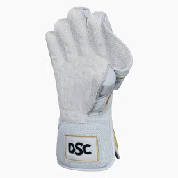 DSC Player Cricket Wicket Keeping Gloves 2025 | Size: Mens | Color: Multicolor image 4