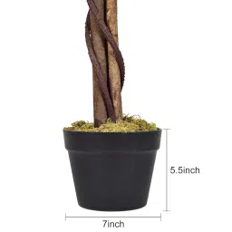 FOX & FERN Artificial Plants (Ficus Green 160cm) image 2