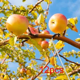 MERISHOPP Fruit Tree Branch Spreaders Practical Professional Accessories Branch Puller 12 Pieces image 5