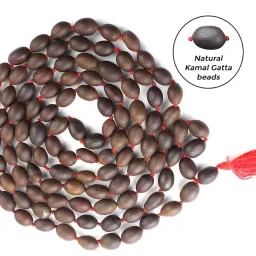 ROTZ Original Kamal Gatta Mala | Lotus Seeds Prayer Rosary Japa | Wearing | thamarai mani malai | Lakshmi Puja | laxmi Sadhna Siddhi with Cotton Jaap Bag image 1