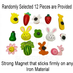 SuperBasics Mix Wooden Fridge Magnets | Randomly Selected 12 Pieces image 2