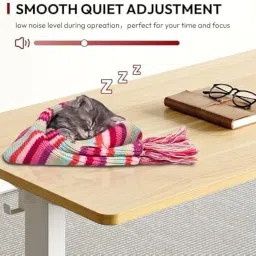 Erigear- Motorized Height Adjustable Electric Table - Ergonomic Sit Stand Desk, Digital Display with Memory Preset Option - 80 Kgs Max Weight Capacity - 48 x 24 Inches image 1