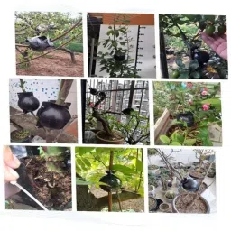 HEAVENGLOW Plants Rooting Device High Pressure Propagation Ball Grafting Case Black_S image 4