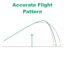 DRAUSS Elevate Your Performance with Black Bird Tournament Grade Feather Shuttlecock - Pack of 10 image 3