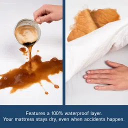 Four Seasons Essentials King Size Mattress Protector Bed Bug Waterproof Zippered Cover Hypoallergenic Encasement Protects Against Liquids, Dust, Allergies - Breathable, Noiseless image 2