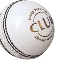 Premium White Leather Cricket Ball Set - Hand-Stitched Official Size 1 for Matches, Practice, Training - Ideal Gift for Cricket Enthusiasts image 1