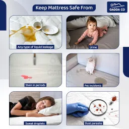 GADDA CO 100% Waterproof Premium Cotton Feel Terry Ultra Soft Mattress Protector King Size 72x75 Inch (6.25x6 Ft) | Breathable & Hypoallergenic Fitted Bed Cover Fits Upto 10 Inch (Peacock, Pack of 1) image 2