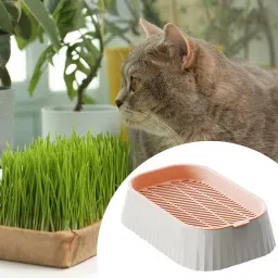 ARTISOUL® Seed Sprouter Tray Microgreens Home Growing Cat Grass Planter Box Hydroponic Pink image 5
