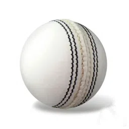 PRO (Pack of 2Pcs) Red and White Cricket Leather Ball Combo (Pack of 2, White, Red) image 1