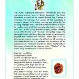 The Himalayan River Five Face / 5 Mukhi Nepal Rudraksha Excellent Panchmukhi Seed Original Certified with Ganga Jal from Haridwar and Free Book On Rudraksha image 4