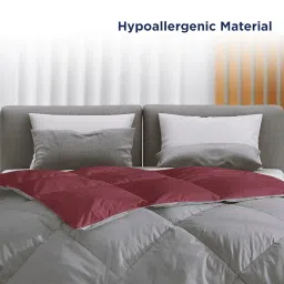 The Sleep Company Reversible Comforter | Wine & Grey | Single Size | 300 TC Cotton | 200 GSM Virgin Microfiber Filling | AC Comforter | All Season Quilted Comforter image 5