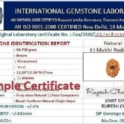 Rare Gems Gallery Pure 21Mukhi Rudraksha Original Certified Nepali Big Size Bead नेपाली इक्कीस मुखी रुद्राक्ष 21 Faced Twenty One Mukhi Rudraksh Nepal Japa Bead Natural 21 Faces Ikkees Mukhi Rudraaksh image 5