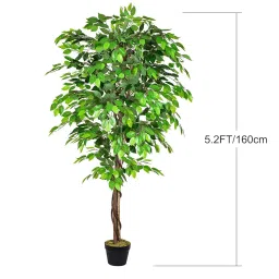 FOX & FERN Artificial Plants (Ficus Green 160cm) image 3