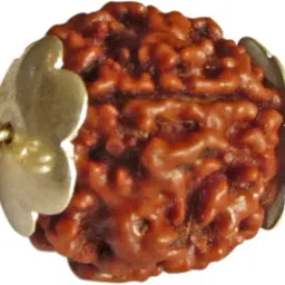 Petrichor Original 5 Mukhi Nepali Rudraksha Bead with Silver Cap image 2