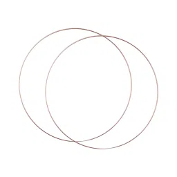 TRENDIVIBE 2 Pieces Metal Floral Hoops Decor Round for DIY Plant Hangers Wedding Wreath Diameter 45 cm image 5