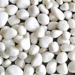 Garden Art Decorative Polished Pebbles for Garden/Landscape and Pot Plants (White Medium, 5 KG) image 5