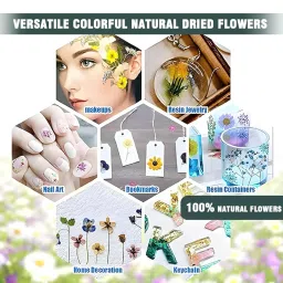 Natural Real Dried & Pressed Flowers for Art Craft - Mixed, Multicolor for Soap, Candle, Scrapbooking, DIY, Resin Jewelry, Pendant - [Lover Grass-Green] image 3