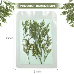 Natural Real Dried & Pressed Flowers for Art Craft - Mixed, Multicolor for Soap, Candle, Scrapbooking, DIY, Resin Jewelry, Pendant - [Lover Grass-Green] image 1