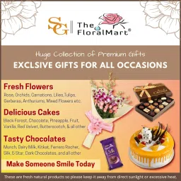 Fresh Flower Bouquet of 10 Roses in Paper Wrapping, Pink image 2