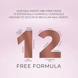 Just Herbs Nail Polish 12 Chemical Free Formula Quick Dry, Glossy Finish and Long Lasting Nail Paints (Blush Pink) image 5