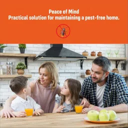 LUXART PVC Drain Backflow Valve 6 IN - Premium Anti-Rat, Anti-Cockroach, Anti-Snake Backflow Stopper | Heavy-Duty Non-Return Water Valve with Strainer Cap | Protection For Bathroom & Outdoor Drains image 3