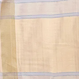Astita Striped Woven Design Zari Organza Saree image 5
