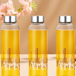 BOROSIL Transparent & Silver-Toned Set of 3 Glass Printed Water Bottle-picture-13