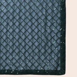 all about you Checked Sequinned Pure Georgette Saree image 4