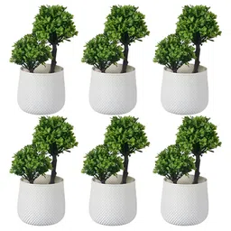 RUBOXA White & Green 6 Pieces Artificial Plant With Pots-picture-21