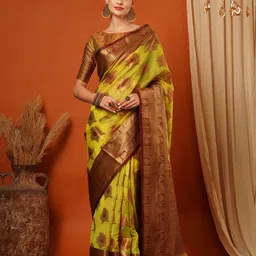 DIVASTRI Woven Design Zari Pure Silk Banarasi Saree-image-21