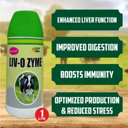 super pure LIV-O Zyme | Ayurvedic Liver Tonic & Digestive Enzyme Syrup for Cows, Goats Pet Health Supplements image 3