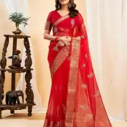 Women Satrani Organza Saree-picture-15