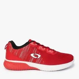 cross trekkers by payless Men Panelled Lace-Up Shoes-picture-46