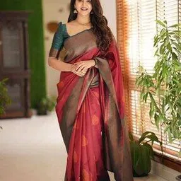 aldwych Banarasi Woven Saree with Contrast Border-picture-39