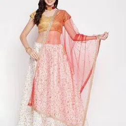 clora creation Embellished Net Dupatta with Lace Border-picture-43
