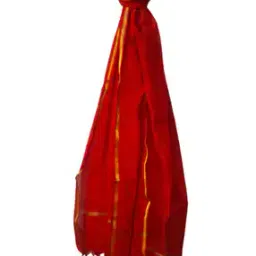  Organza Dupatta with Tassels-image-40