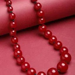 vogue panash Women Synthetic Pearls Statement Necklace-picture-21