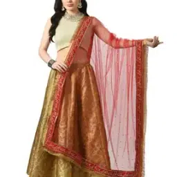 a r silk dupatta hub Women Embroiderd Dupatta-picture-52