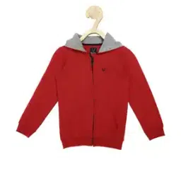 allen solly Logo Embroidered Hoodie with Kangaroo Pockets-picture-47