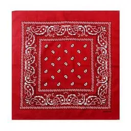 aashirwad crafts Men Printed Bandana-picture-25