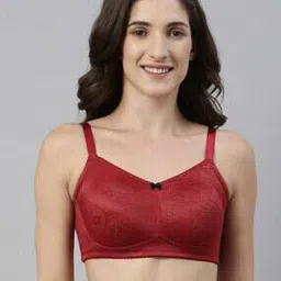 enamor Lace Non-Wired T-shirt Bra-picture-52