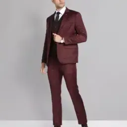 ad by arvind Men Regular Fit Blazer Pants Suit Set-picture-14