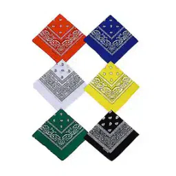 aadikart Men Paisley Scarves-picture-53