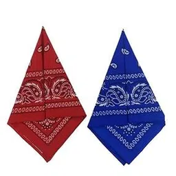 aadikart Men 2 Paisley-picture-41