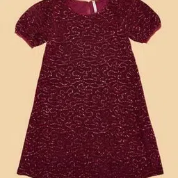 Girls Embellished Shift Dress-image-24