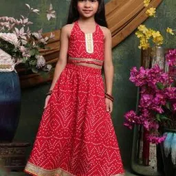 saka designs Girls Printed 2-Piece Lehenga Choli Set-picture-11